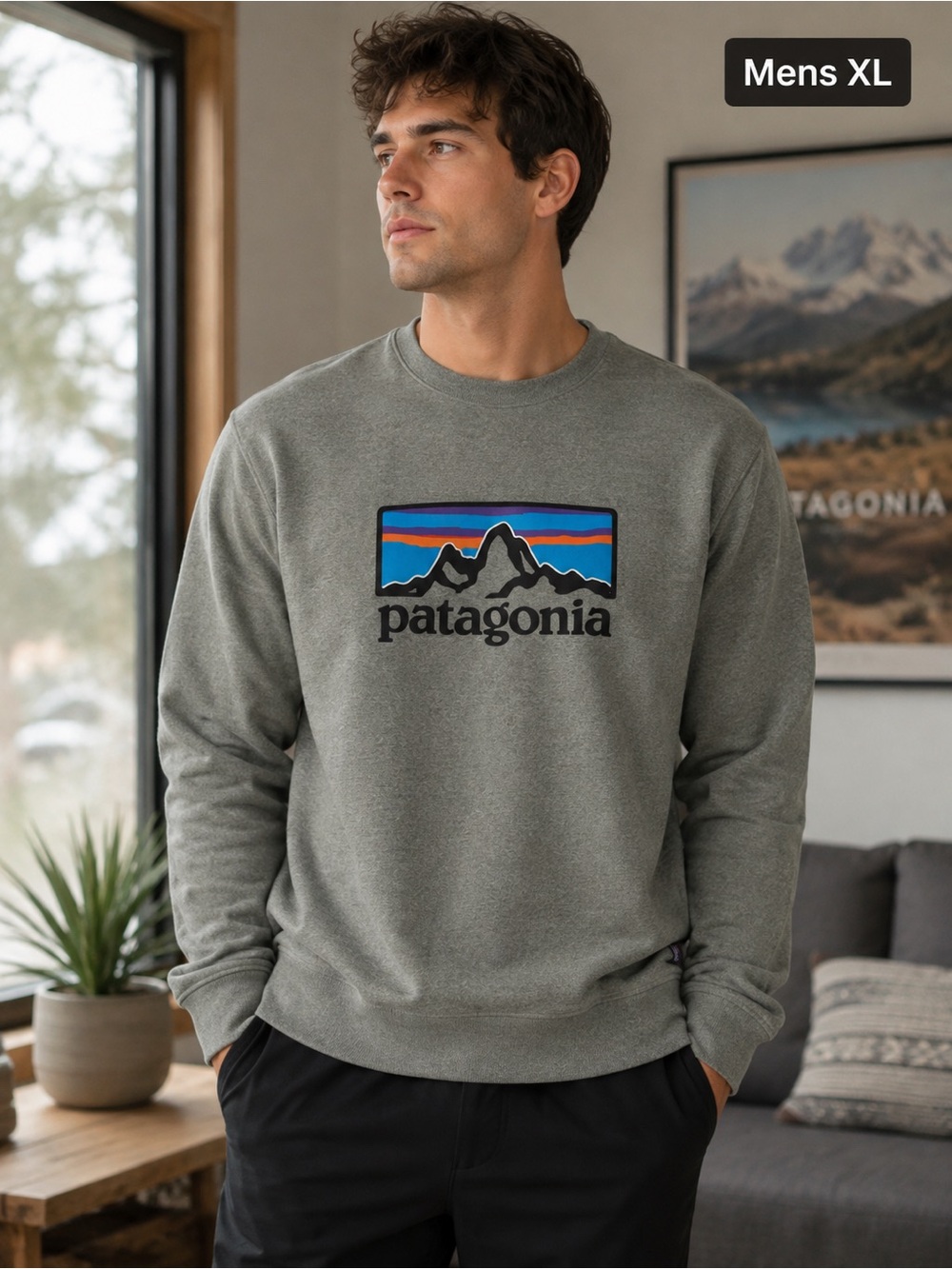 Patagonia Men's XL Gray Crewneck Sweatshirt with Mountain Logo